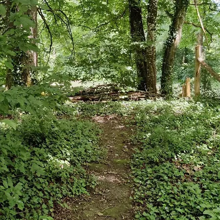 Bed and breakfast Les Cheveches 3*